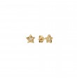 Puces Diamond Star