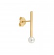 Line earrings
